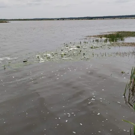 6 Person In Henne Tatil Evi