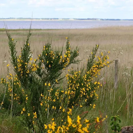 6 Person In Henne * Henne Strand
