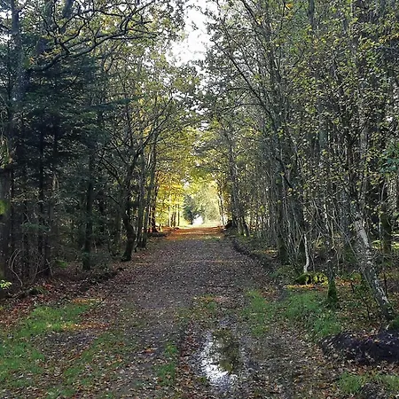 Prázdninový dům 6 Person In Henne *