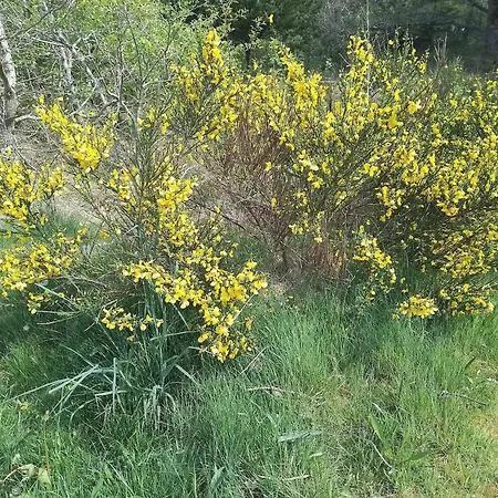 6 Person In Henne Prázdninový dům Henne Strand